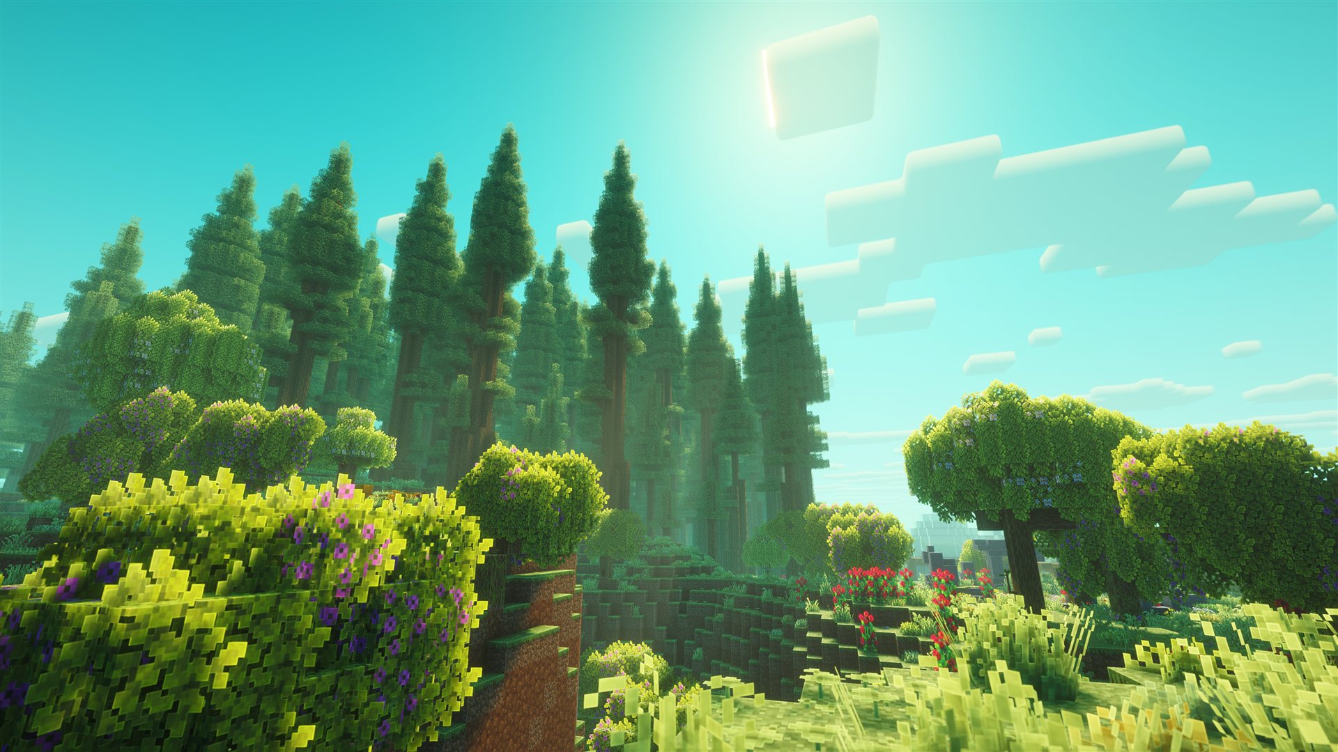 Captura de Wheyll Studios